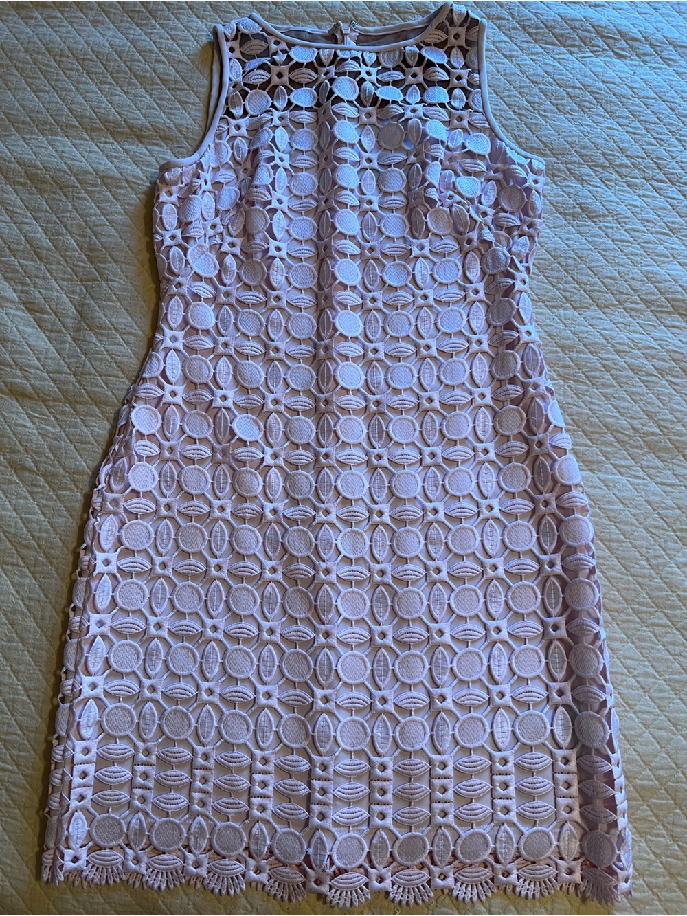 Ralph Lauren Sleeveless Lace Sheath Dress in Light Pink